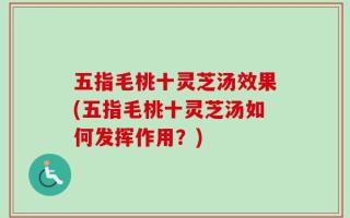 五指毛桃十灵芝汤效果(五指毛桃十灵芝汤如何发挥作用？)