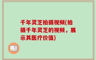 千年灵芝拍摄视频(拍摄千年灵芝的视频，展示其医疗价值)