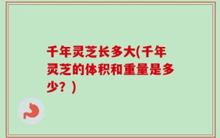 千年灵芝长多大(千年灵芝的体积和重量是多少？)