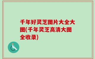 千年好灵芝图片大全大图(千年灵芝高清大图全收录)