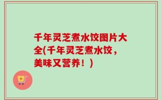 千年灵芝煮水饺图片大全(千年灵芝煮水饺，美味又营养！)