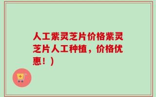 人工紫灵芝片价格紫灵芝片人工种植，价格优惠！)