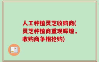 人工种植灵芝收购商(灵芝种植商重现辉煌，收购商争相抢购)