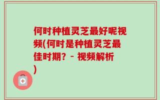 何时种植灵芝最好呢视频(何时是种植灵芝最佳时期？- 视频解析)