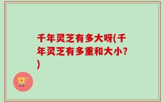 千年灵芝有多大呀(千年灵芝有多重和大小？)