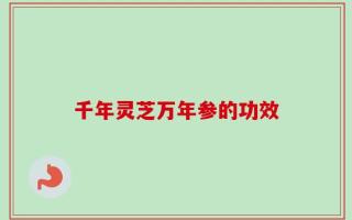 千年灵芝万年参的功效