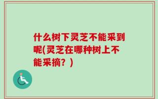 什么树下灵芝不能采到呢(灵芝在哪种树上不能采摘？)