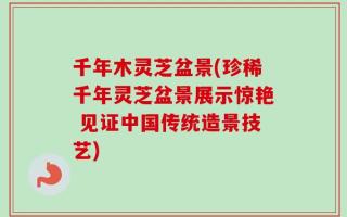 千年木灵芝盆景(珍稀千年灵芝盆景展示惊艳 见证中国传统造景技艺)