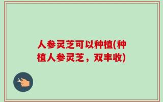 人参灵芝可以种植(种植人参灵芝，双丰收)