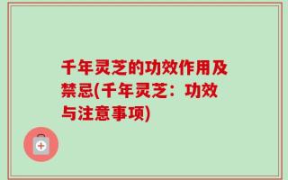 千年灵芝的功效作用及禁忌(千年灵芝：功效与注意事项)