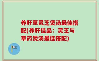 养肝草灵芝煲汤最佳搭配(养肝佳品：灵芝与草药煲汤最佳搭配)