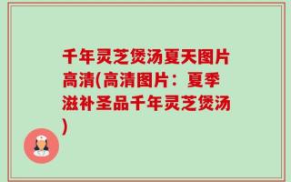 千年灵芝煲汤夏天图片高清(高清图片：夏季滋补圣品千年灵芝煲汤)