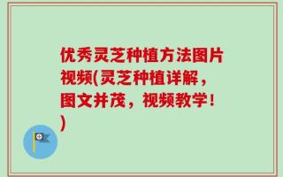 优秀灵芝种植方法图片视频(灵芝种植详解，图文并茂，视频教学！)