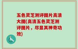 五色灵芝测评图片高清大图(高清五色灵芝测评图片，尽显其神奇功效)