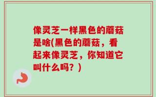 像灵芝一样黑色的蘑菇是啥(黑色的蘑菇，看起来像灵芝，你知道它叫什么吗？)