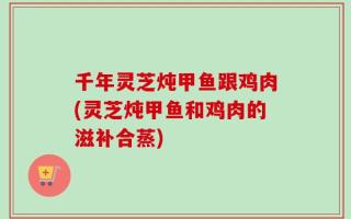 千年灵芝炖甲鱼跟鸡肉(灵芝炖甲鱼和鸡肉的滋补合蒸)