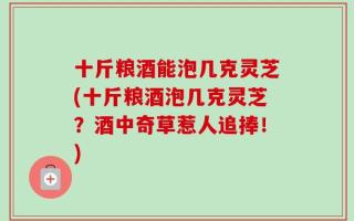 十斤粮酒能泡几克灵芝(十斤粮酒泡几克灵芝？酒中奇草惹人追捧！)