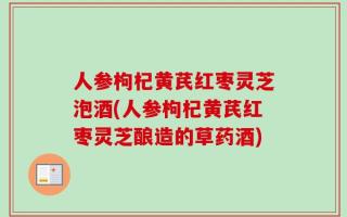 人参枸杞黄芪红枣灵芝泡酒(人参枸杞黄芪红枣灵芝酿造的草药酒)