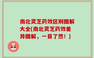 南北灵芝药效区别图解大全(南北灵芝药效差异图解，一目了然！)