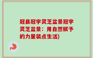 冠县冠宇灵芝盆景冠宇灵芝盆景：用自然赋予的力量装点生活)