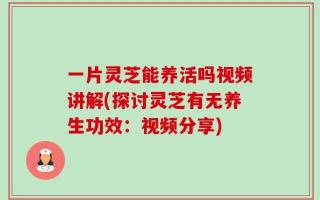一片灵芝能养活吗视频讲解(探讨灵芝有无养生功效：视频分享)