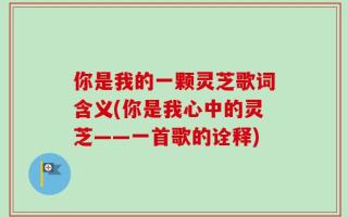你是我的一颗灵芝歌词含义(你是我心中的灵芝——一首歌的诠释)