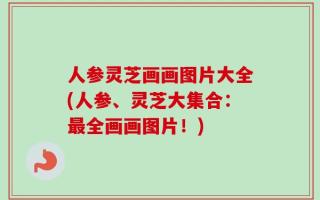 人参灵芝画画图片大全(人参、灵芝大集合：最全画画图片！)