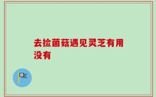 去捡菌菇遇见灵芝有用没有
