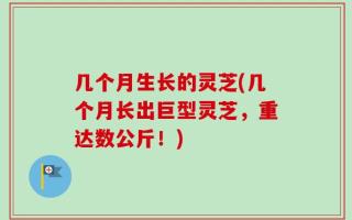 几个月生长的灵芝(几个月长出巨型灵芝，重达数公斤！)