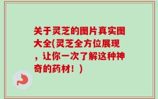 关于灵芝的图片真实图大全(灵芝全方位展现，让你一次了解这种神奇的药材！)