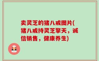 卖灵芝的猪八戒图片(猪八戒持灵芝擎天，诚信销售，健康养生)