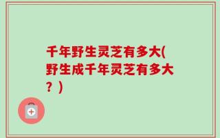 千年野生灵芝有多大(野生成千年灵芝有多大？)