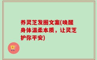 养灵芝发圈文案(唤醒身体温柔本质，让灵芝护你平安)