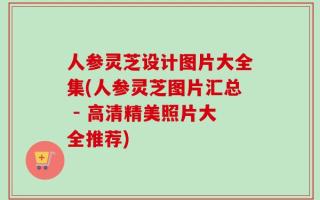 人参灵芝设计图片大全集(人参灵芝图片汇总 - 高清精美照片大全推荐)