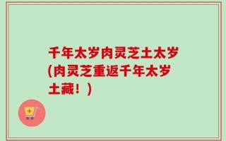 千年太岁肉灵芝土太岁(肉灵芝重返千年太岁土藏！)