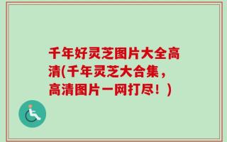 千年好灵芝图片大全高清(千年灵芝大合集，高清图片一网打尽！)