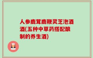 人参鹿茸鹿鞭灵芝泡酒酒(五种中草药搭配酿制的养生酒)