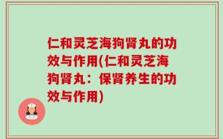仁和灵芝海狗肾丸的功效与作用(仁和灵芝海狗肾丸：保肾养生的功效与作用)