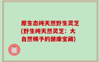 原生态纯天然野生灵芝(野生纯天然灵芝：大自然赐予的健康宝藏)