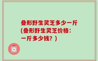 叠形野生灵芝多少一斤(叠形野生灵芝价格：一斤多少钱？)
