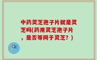 中药灵芝孢子片就是灵芝吗(药用灵芝孢子片，是否等同于灵芝？)