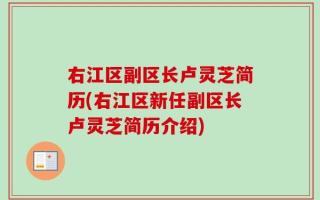 右江区副区长卢灵芝简历(右江区新任副区长卢灵芝简历介绍)