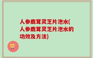 人参鹿茸灵芝片泡水(人参鹿茸灵芝片泡水的功效及方法)