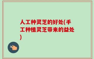 人工种灵芝的好处(手工种植灵芝带来的益处)