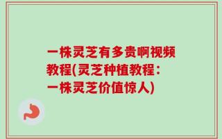 一株灵芝有多贵啊视频教程(灵芝种植教程：一株灵芝价值惊人)