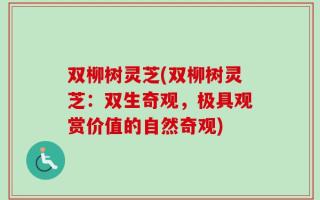 双柳树灵芝(双柳树灵芝：双生奇观，极具观赏价值的自然奇观)