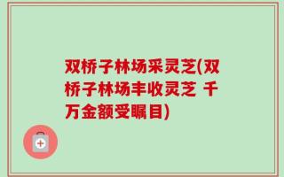 双桥子林场采灵芝(双桥子林场丰收灵芝 千万金额受瞩目)
