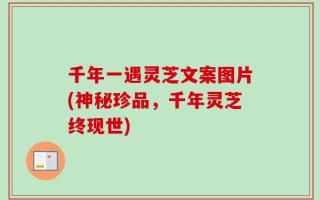 千年一遇灵芝文案图片(神秘珍品，千年灵芝终现世)