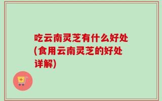 吃云南灵芝有什么好处(食用云南灵芝的好处详解)
