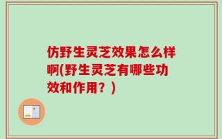 仿野生灵芝效果怎么样啊(野生灵芝有哪些功效和作用？)